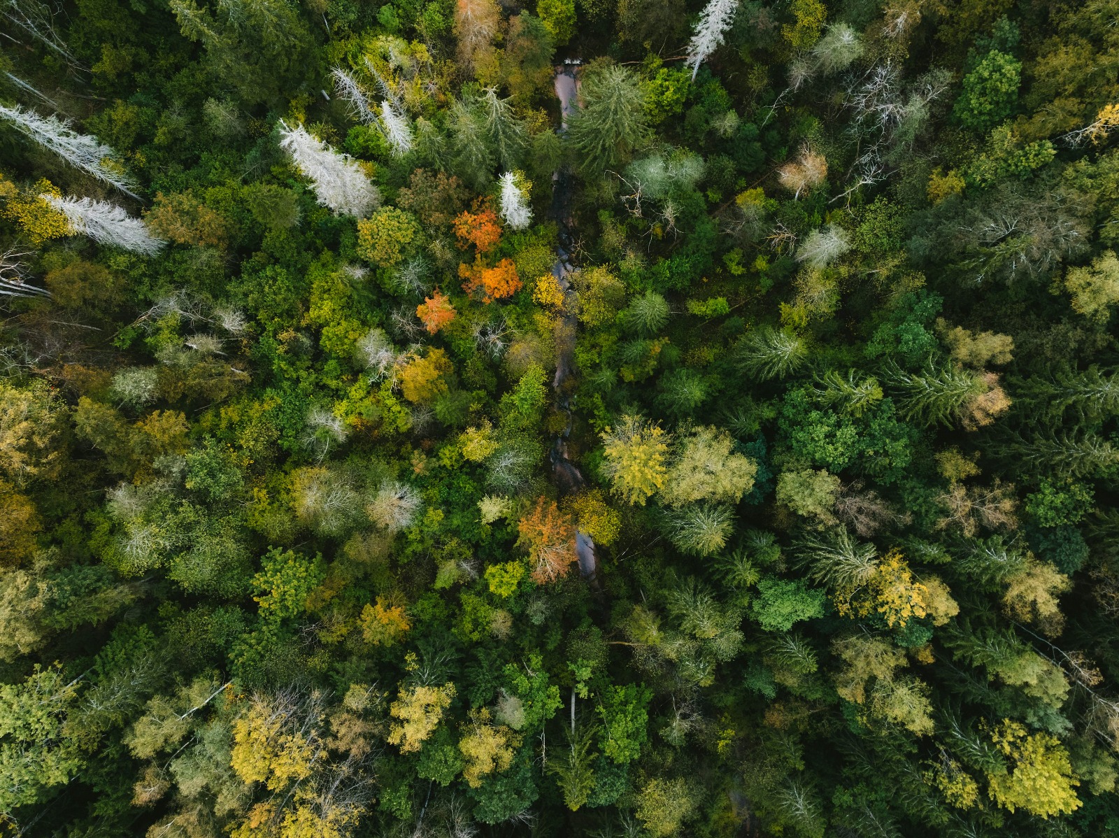 biodiversità